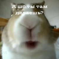 Илья Пепеляев
